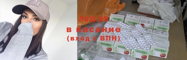 ГАЛЛЮЦИНОГЕННЫЕ ГРИБЫ Аркадак