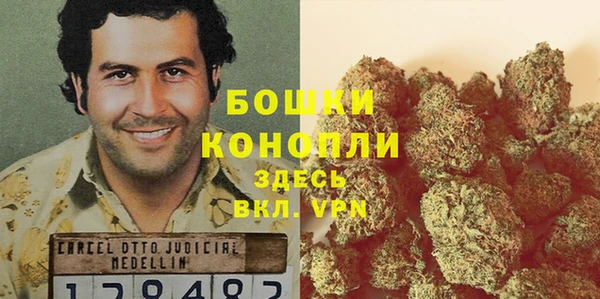 эйфоретик Арсеньев