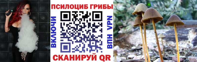 Галлюциногенные грибы Psilocybine cubensis Усолье-Сибирское